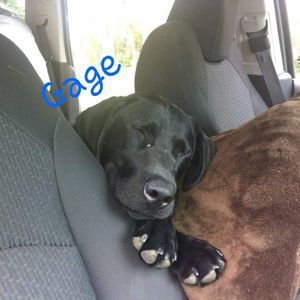 Meet your Posher, Terra